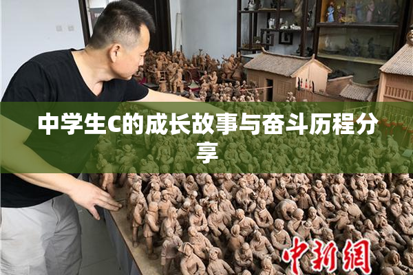 中学生C的成长故事与奋斗历程分享