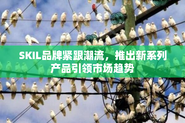 SKIL品牌紧跟潮流，推出新系列产品引领市场趋势