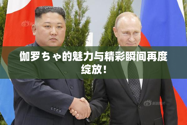 伽罗ちゃ的魅力与精彩瞬间再度绽放！