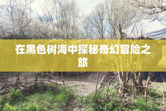 在黑色树海中探秘奇幻冒险之旅