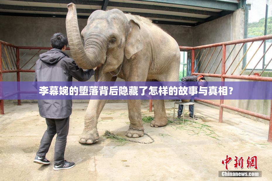 李幕婉的堕落背后隐藏了怎样的故事与真相？