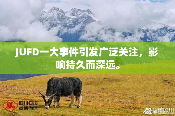 JUFD一大事件引发广泛关注，影响持久而深远。