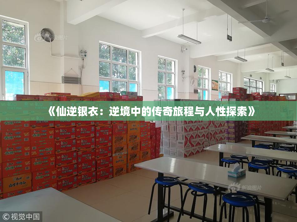 《仙逆银衣：逆境中的传奇旅程与人性探索》