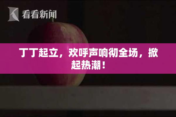 丁丁起立，欢呼声响彻全场，掀起热潮！