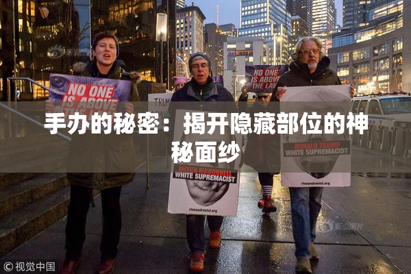 手办的秘密：揭开隐藏部位的神秘面纱