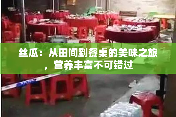 丝瓜：从田间到餐桌的美味之旅，营养丰富不可错过