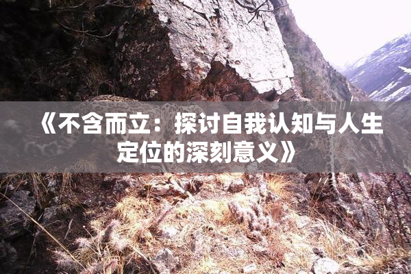 《不含而立：探讨自我认知与人生定位的深刻意义》