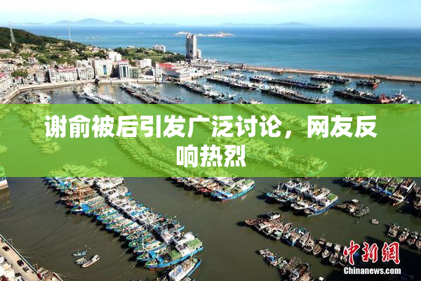 谢俞被后引发广泛讨论，网友反响热烈