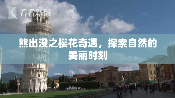 熊出没之樱花奇遇，探索自然的美丽时刻