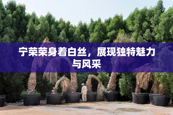 宁荣荣身着白丝，展现独特魅力与风采