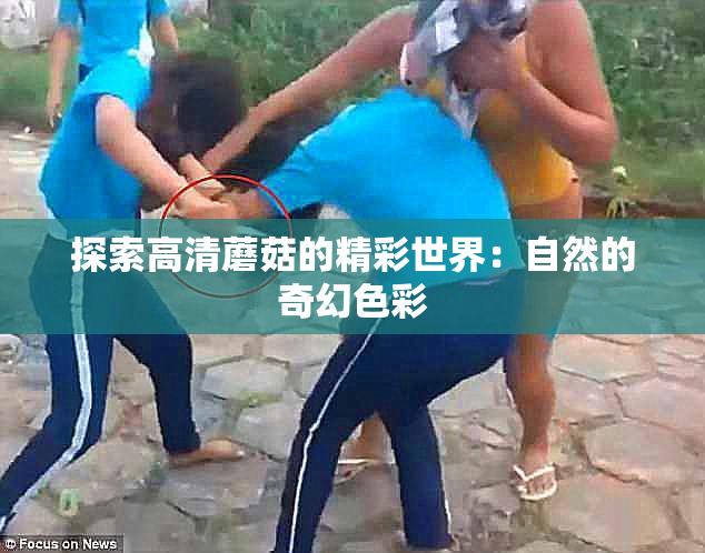 探索高清蘑菇的精彩世界：自然的奇幻色彩