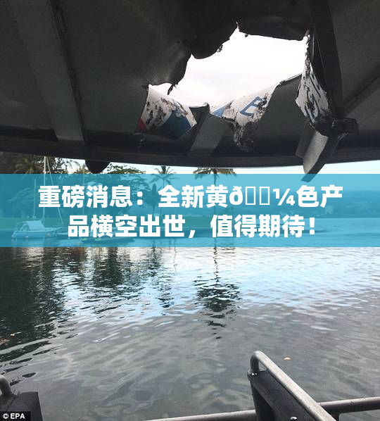 重磅消息：全新黄🌼色产品横空出世，值得期待！