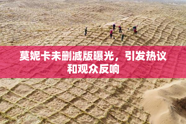 莫妮卡未删减版曝光，引发热议和观众反响