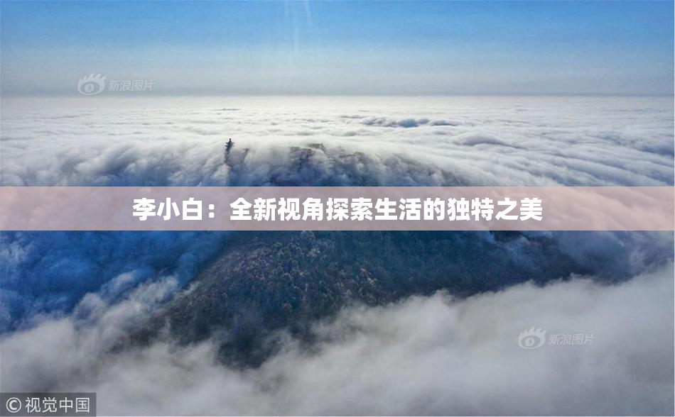 李小白：全新视角探索生活的独特之美