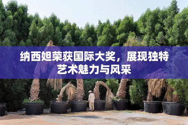 纳西妲荣获国际大奖，展现独特艺术魅力与风采