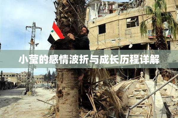 小莹的感情波折与成长历程详解
