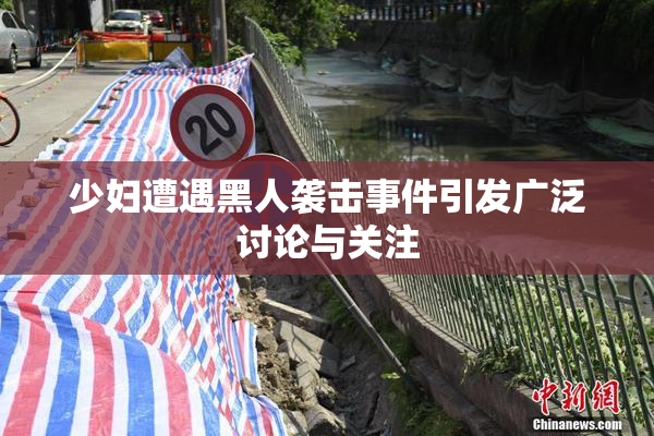 少妇遭遇黑人袭击事件引发广泛讨论与关注