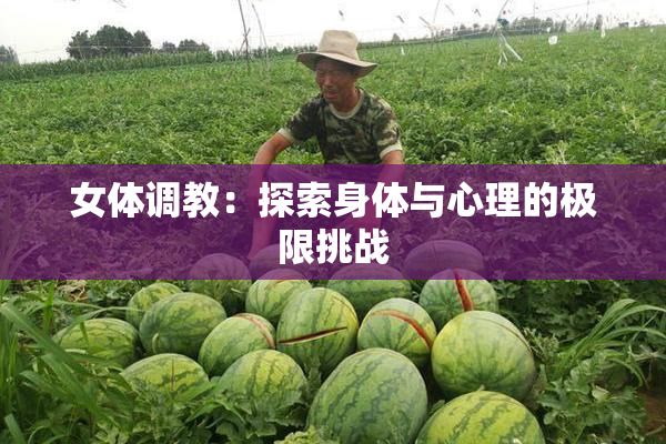 女体调教：探索身体与心理的极限挑战
