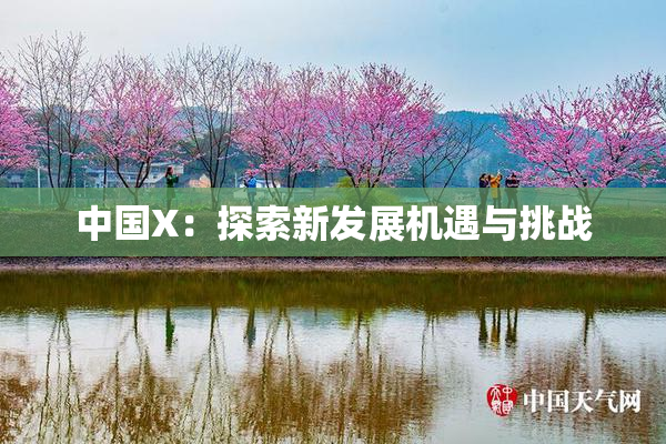 中国X：探索新发展机遇与挑战