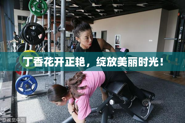 丁香花开正艳，绽放美丽时光！