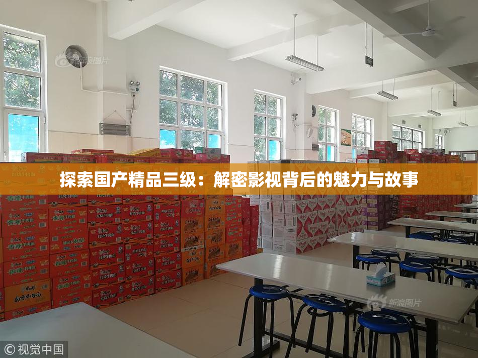 探索国产精品三级：解密影视背后的魅力与故事