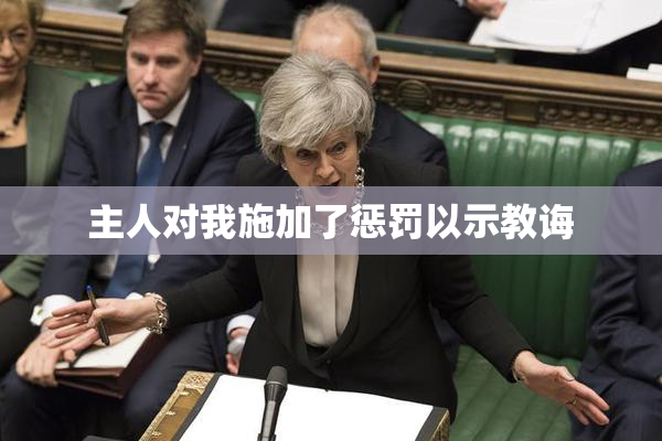 主人对我施加了惩罚以示教诲