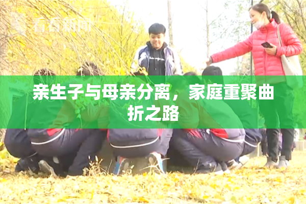 亲生子与母亲分离，家庭重聚曲折之路
