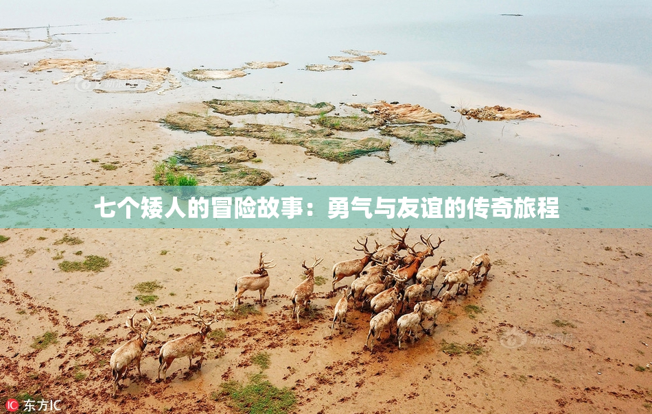七个矮人的冒险故事：勇气与友谊的传奇旅程