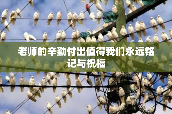 老师的辛勤付出值得我们永远铭记与祝福