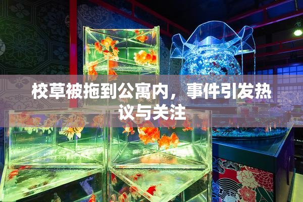校草被拖到公寓内，事件引发热议与关注