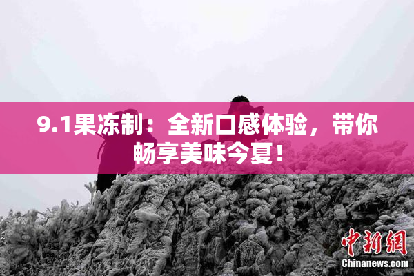 9.1果冻制：全新口感体验，带你畅享美味今夏！