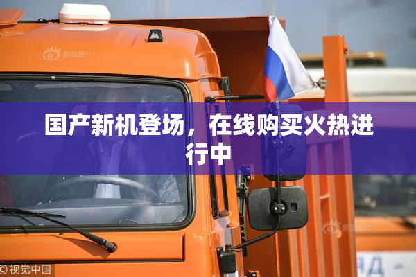 国产新机登场，在线购买火热进行中