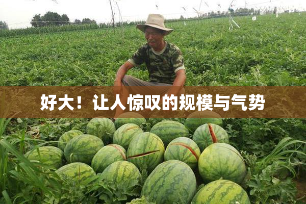 好大！让人惊叹的规模与气势