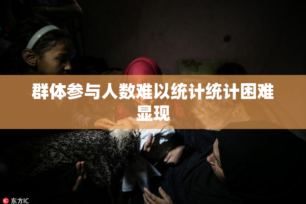 群体参与人数难以统计统计困难显现
