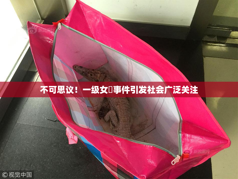 不可思议！一级女婬事件引发社会广泛关注