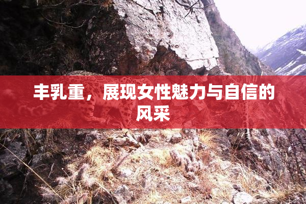 丰乳重，展现女性魅力与自信的风采