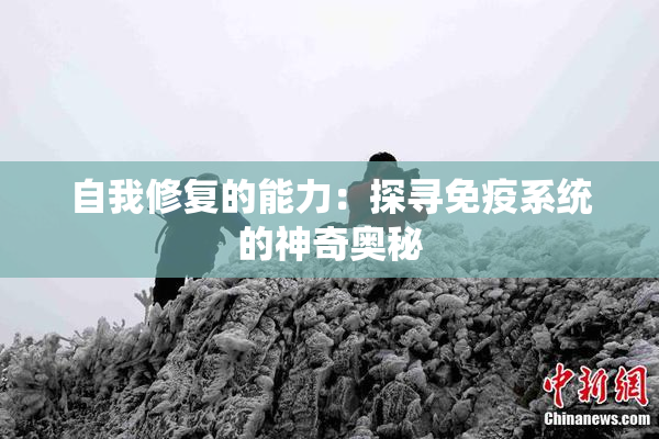 自我修复的能力：探寻免疫系统的神奇奥秘
