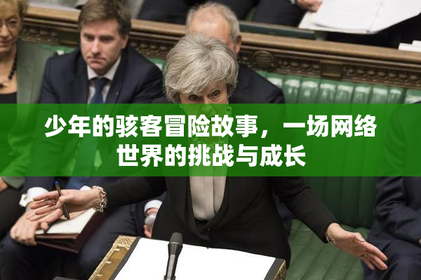 少年的骇客冒险故事，一场网络世界的挑战与成长