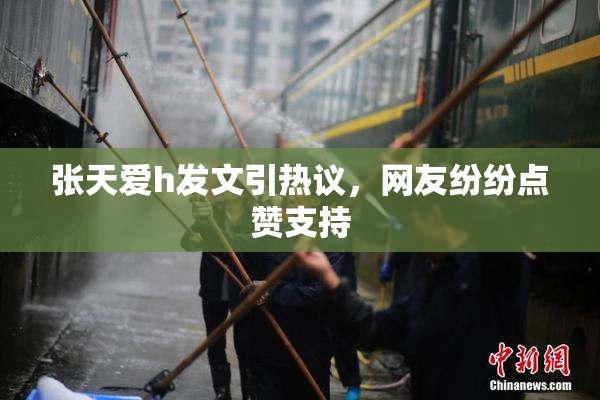 张天爱h发文引热议，网友纷纷点赞支持