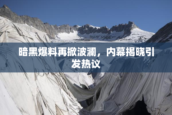 暗黑爆料再掀波澜，内幕揭晓引发热议