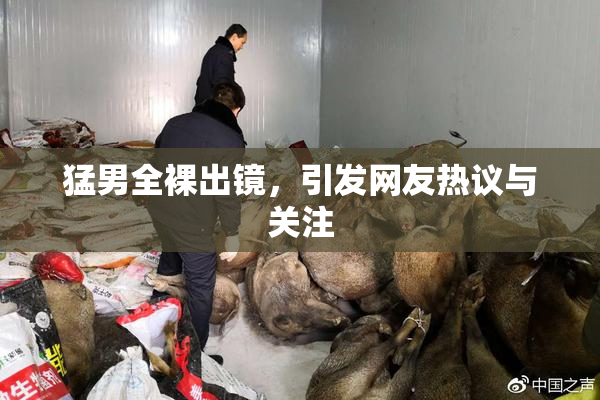 猛男全裸出镜，引发网友热议与关注