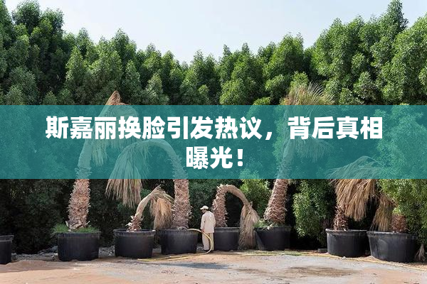 斯嘉丽换脸引发热议，背后真相曝光！
