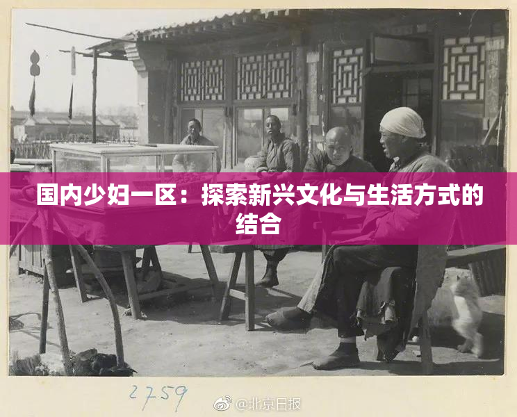 国内少妇一区：探索新兴文化与生活方式的结合