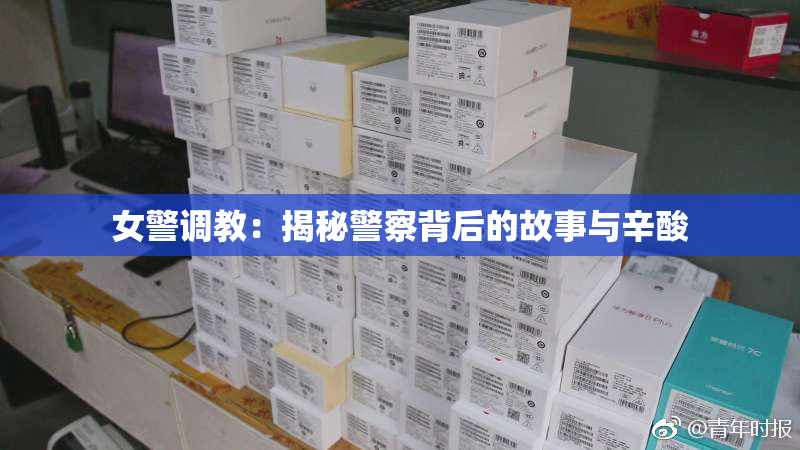 女警调教：揭秘警察背后的故事与辛酸