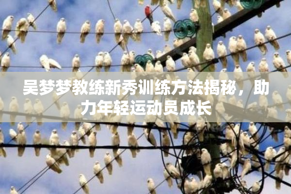 吴梦梦教练新秀训练方法揭秘，助力年轻运动员成长