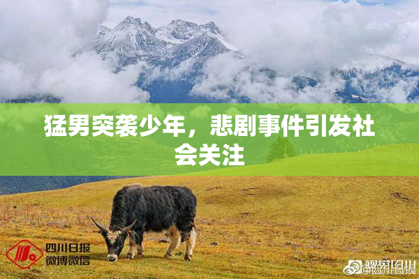 猛男突袭少年，悲剧事件引发社会关注