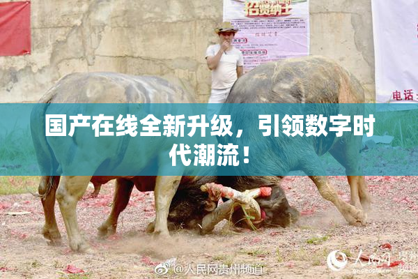 国产在线全新升级，引领数字时代潮流！