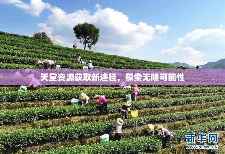 天堂资源获取新途径，探索无限可能性