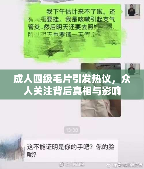 成人四级毛片引发热议，众人关注背后真相与影响