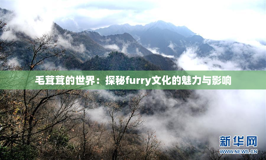 毛茸茸的世界：探秘furry文化的魅力与影响